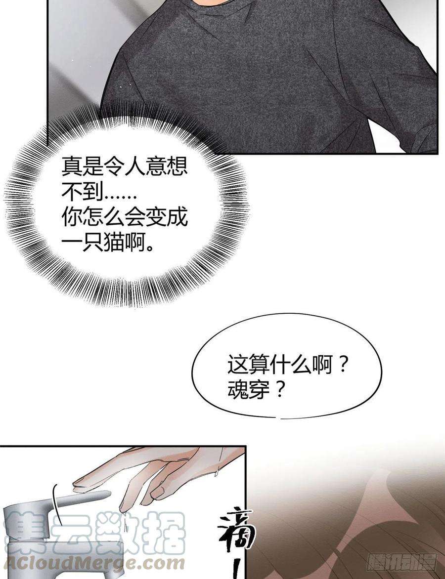 今天也要努力当只猫38话 吻？能醒吗