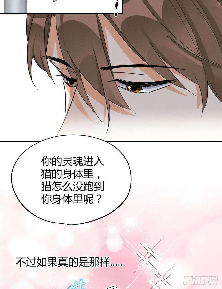 今天也要努力当只猫38话 吻？能醒吗