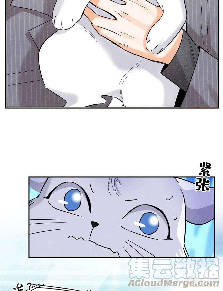 今天也要努力当只猫38话 吻？能醒吗