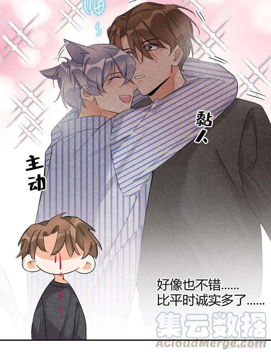 今天也要努力当只猫38话 吻？能醒吗