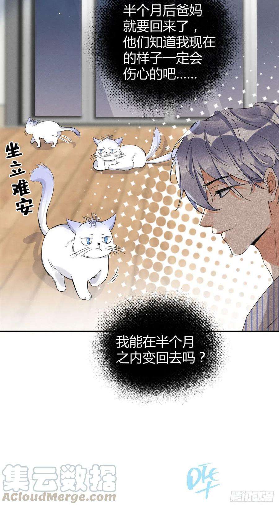 今天也要努力当只猫38话 吻？能醒吗