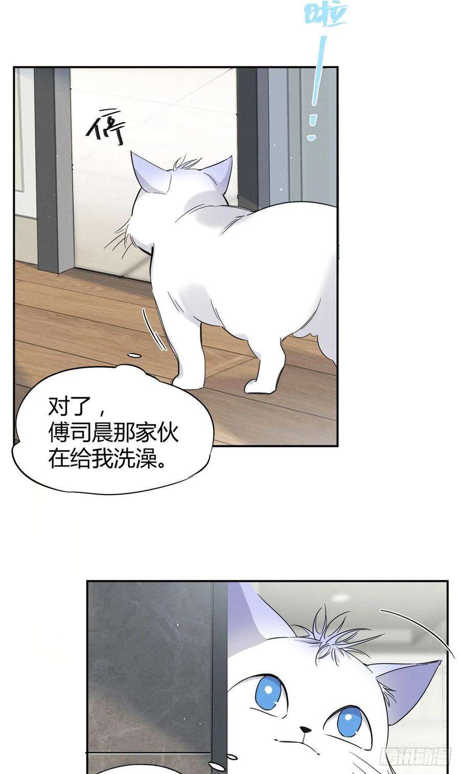 今天也要努力当只猫38话 吻？能醒吗