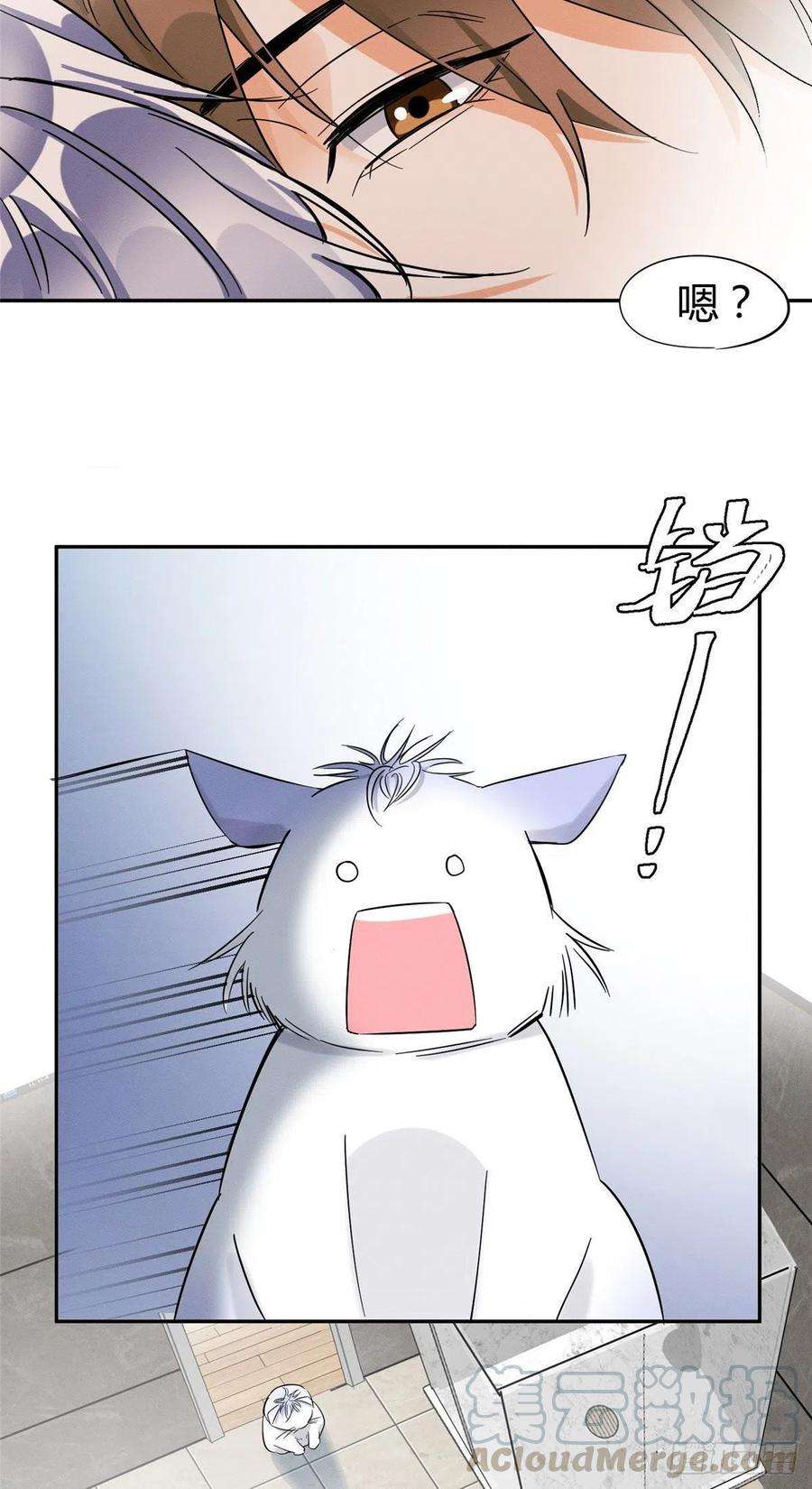 今天也要努力当只猫38话 吻？能醒吗