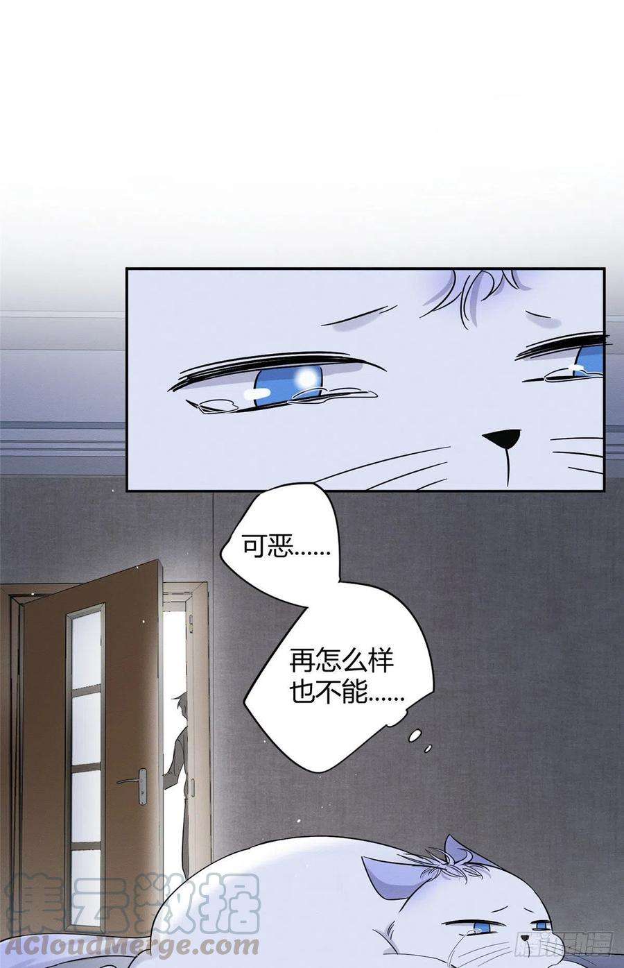 今天也要努力当只猫38话 吻？能醒吗