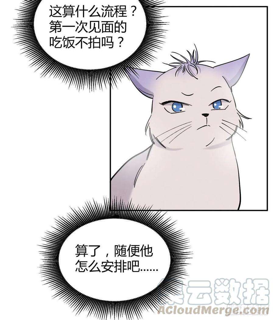 今天也要努力当只猫39话 吃亿口