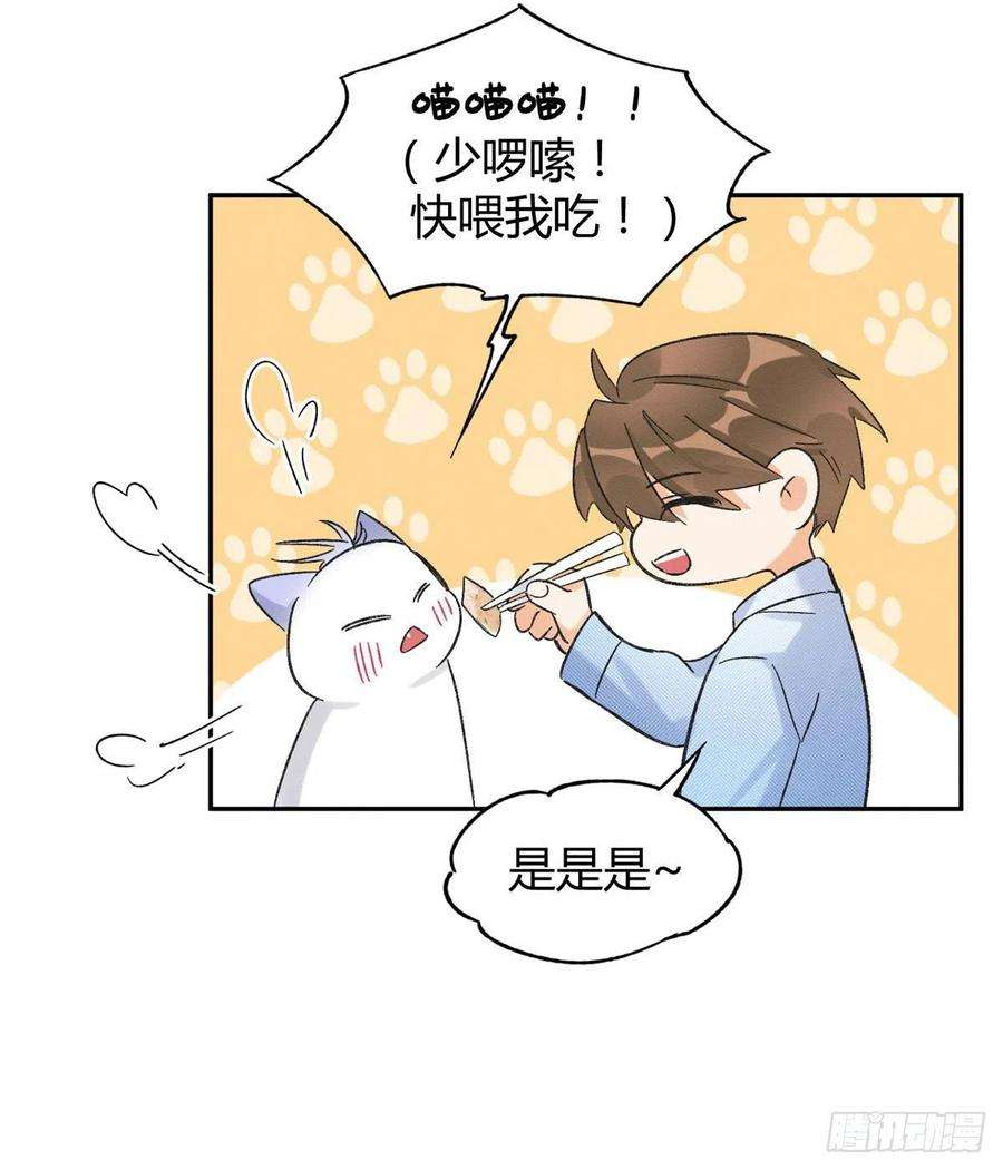 今天也要努力当只猫39话 吃亿口