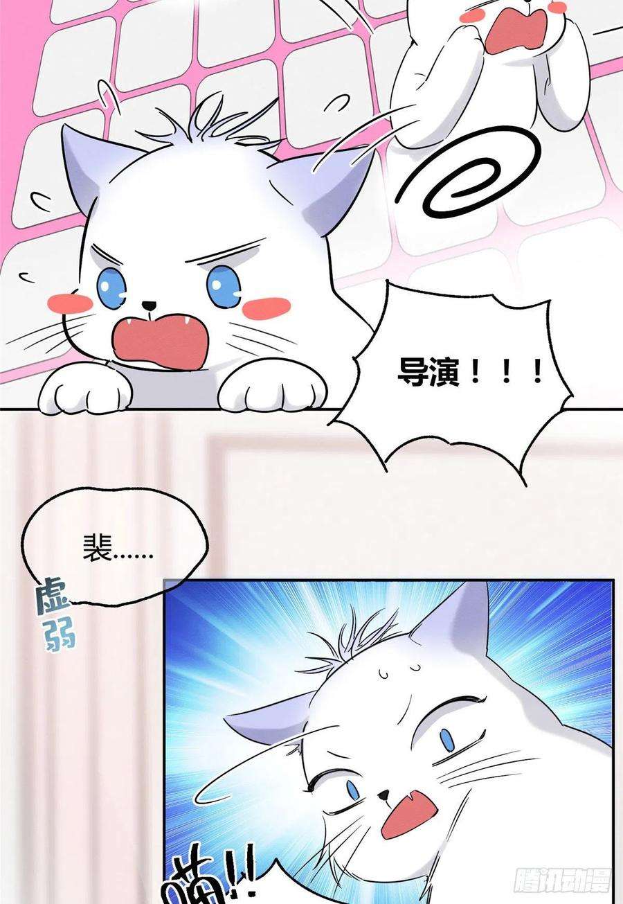 今天也要努力当只猫39话 吃亿口