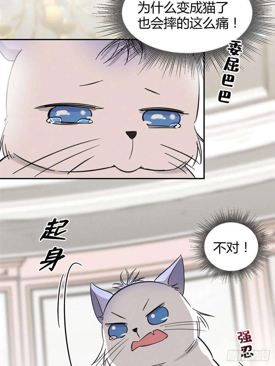今天也要努力当只猫39话 吃亿口