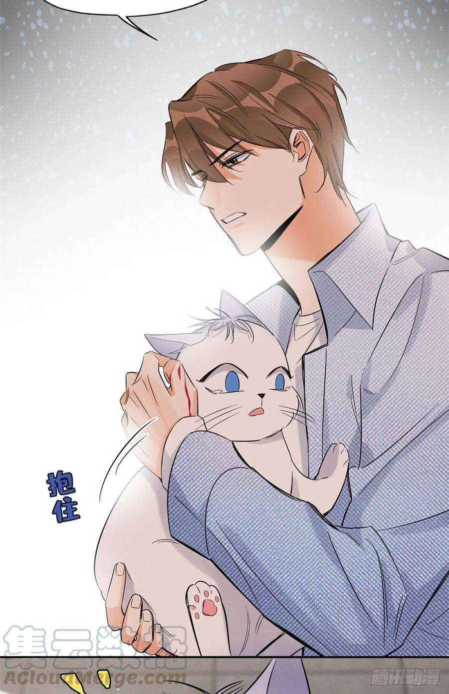 今天也要努力当只猫40话 舔一舔