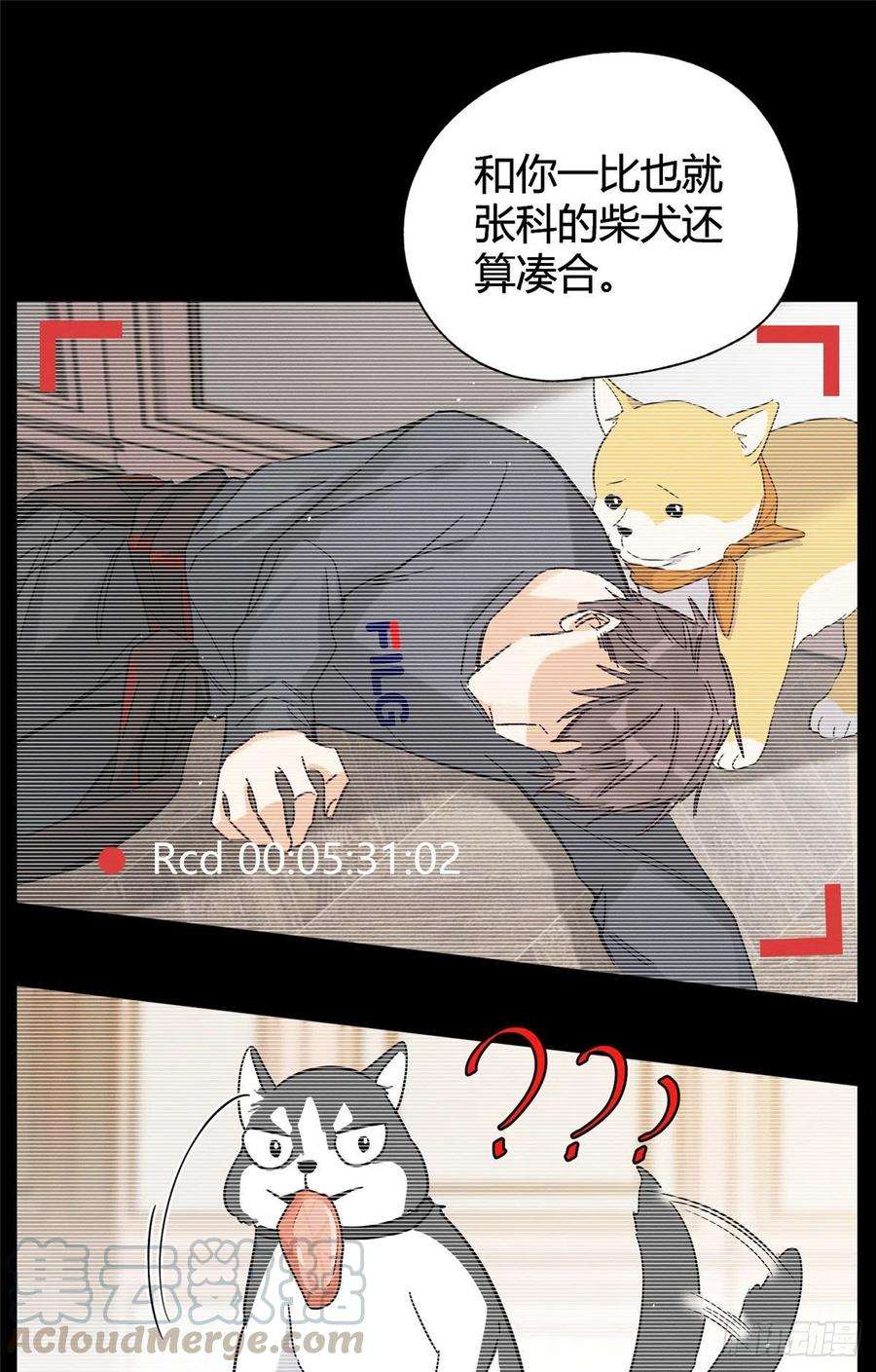 今天也要努力当只猫40话 舔一舔