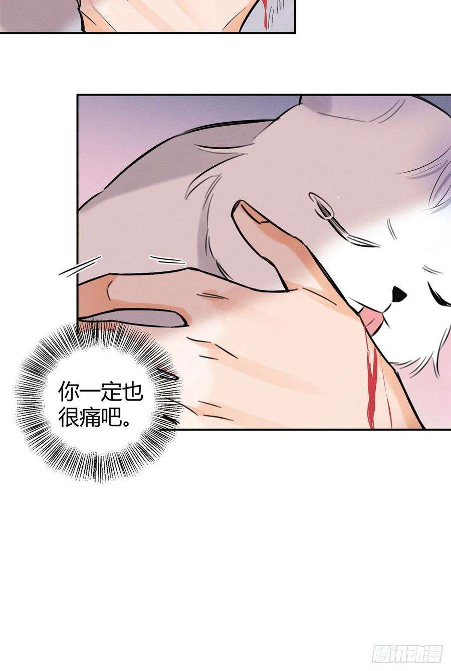 今天也要努力当只猫40话 舔一舔