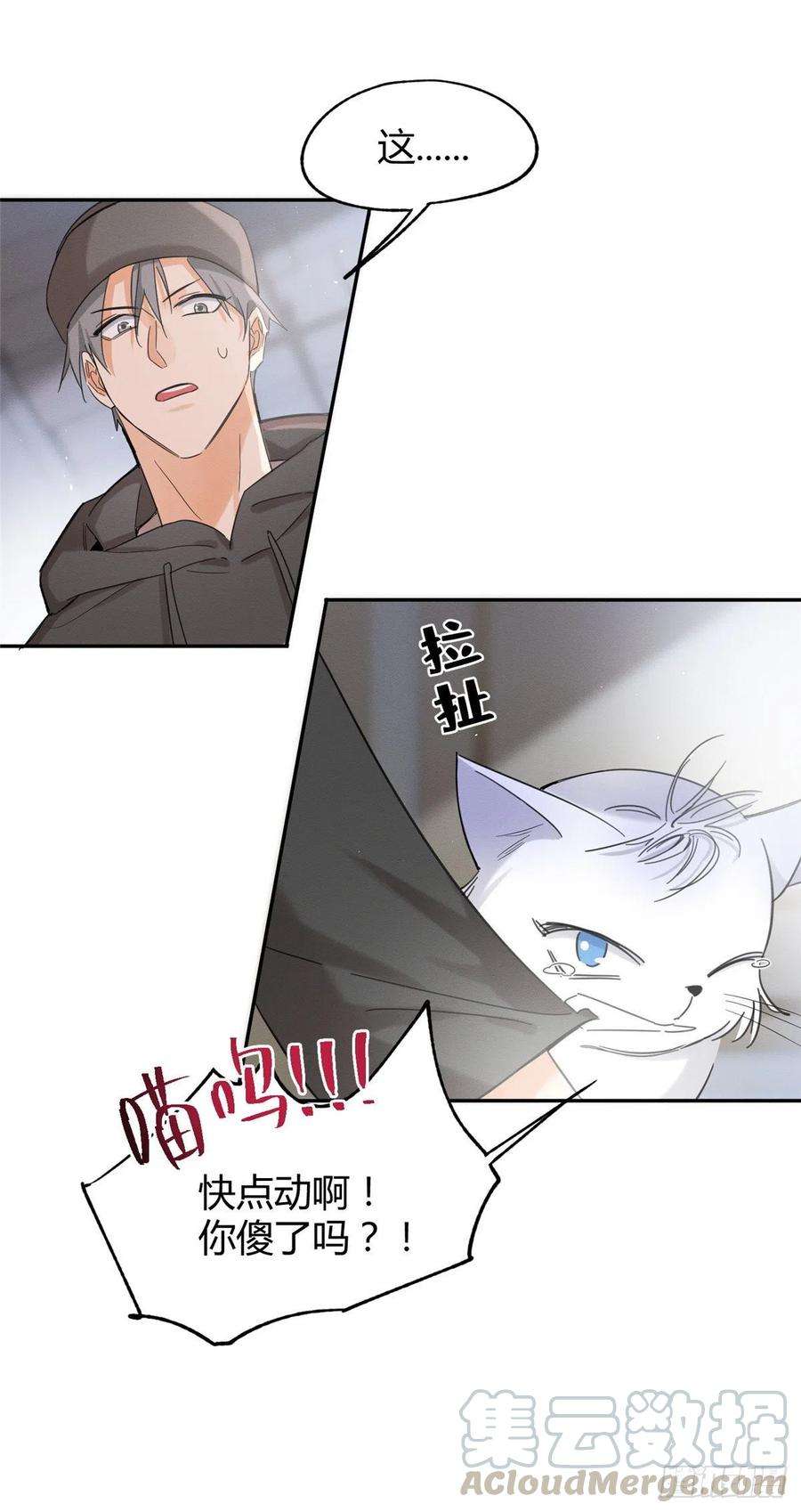 今天也要努力当只猫40话 舔一舔