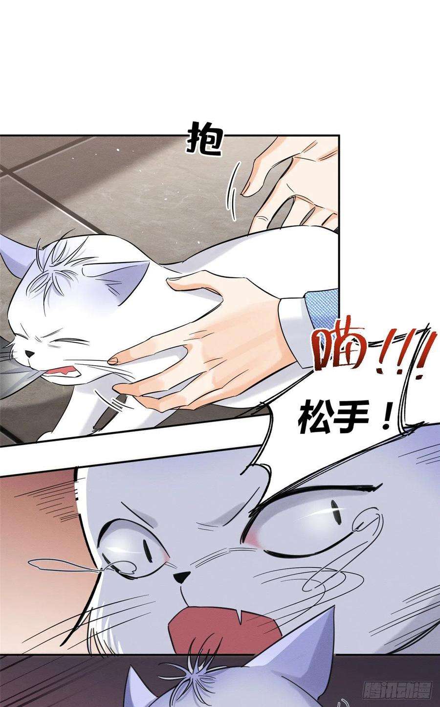 今天也要努力当只猫40话 舔一舔