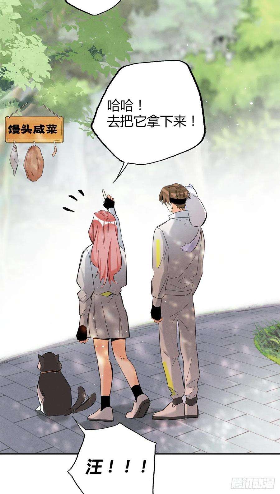 今天也要努力当只猫41话 喜欢哪一个呢