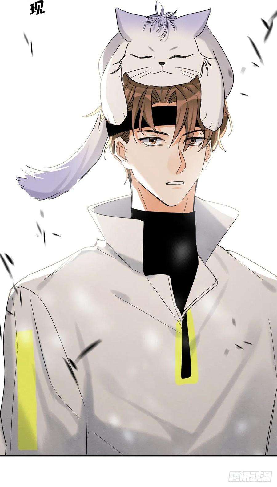 今天也要努力当只猫41话 喜欢哪一个呢