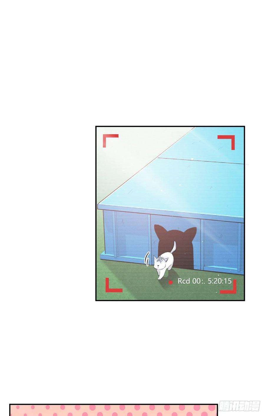 今天也要努力当只猫42话 喜欢的模样