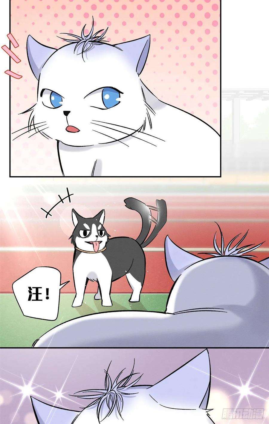 今天也要努力当只猫42话 喜欢的模样