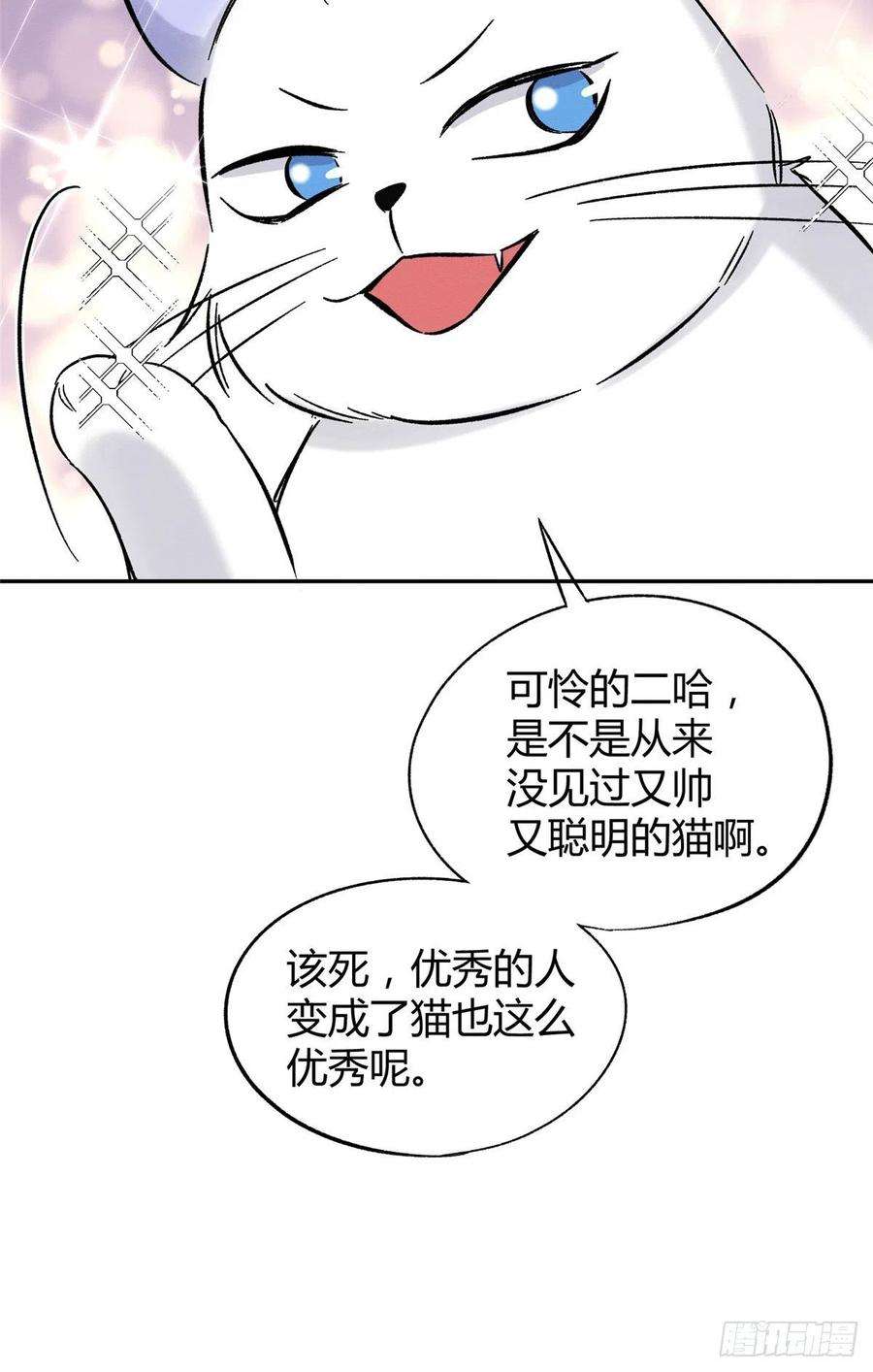 今天也要努力当只猫42话 喜欢的模样