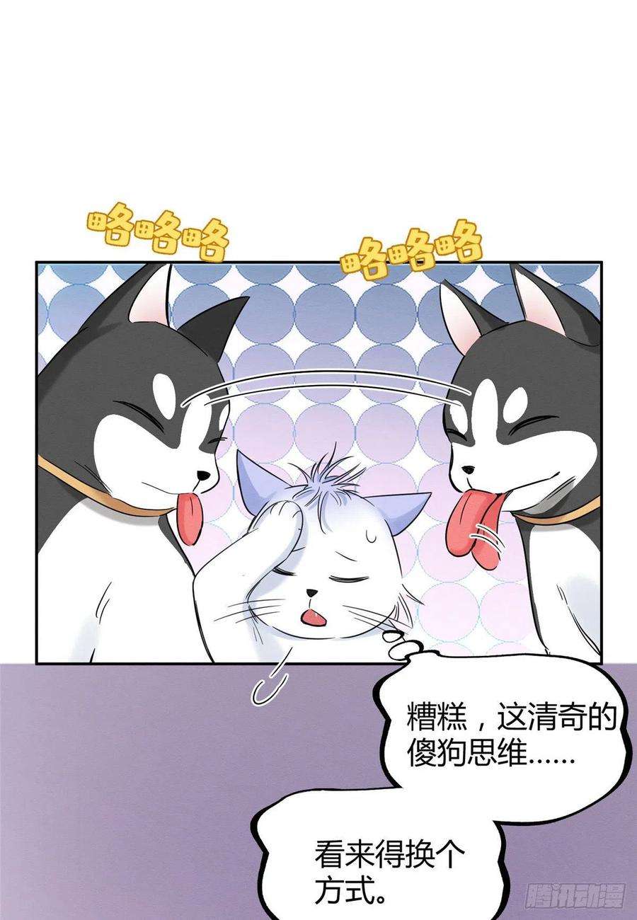 今天也要努力当只猫42话 喜欢的模样