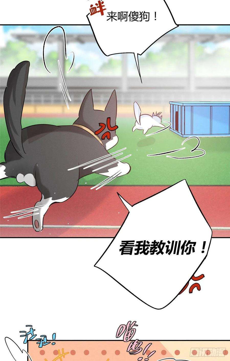 今天也要努力当只猫42话 喜欢的模样