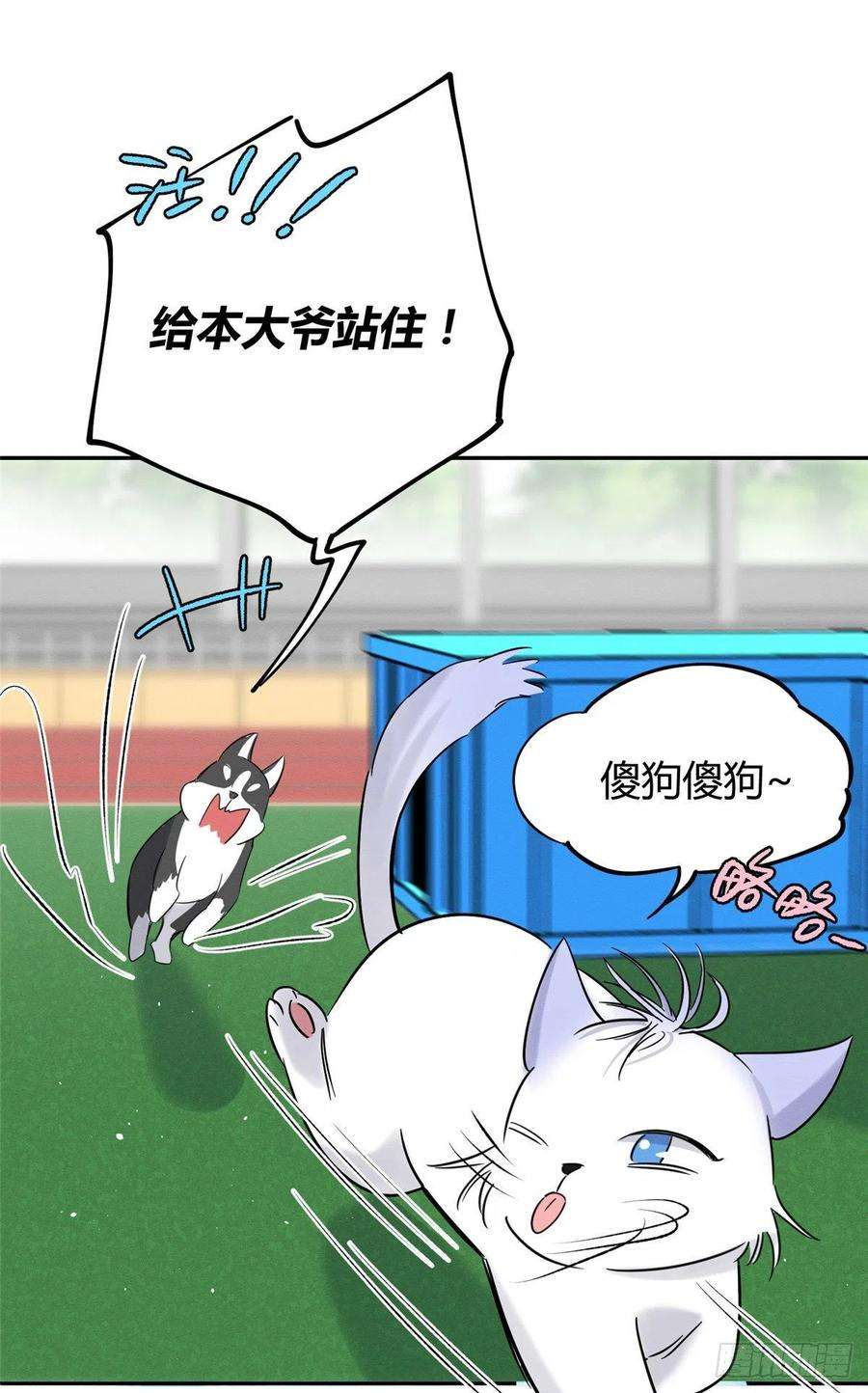 今天也要努力当只猫42话 喜欢的模样