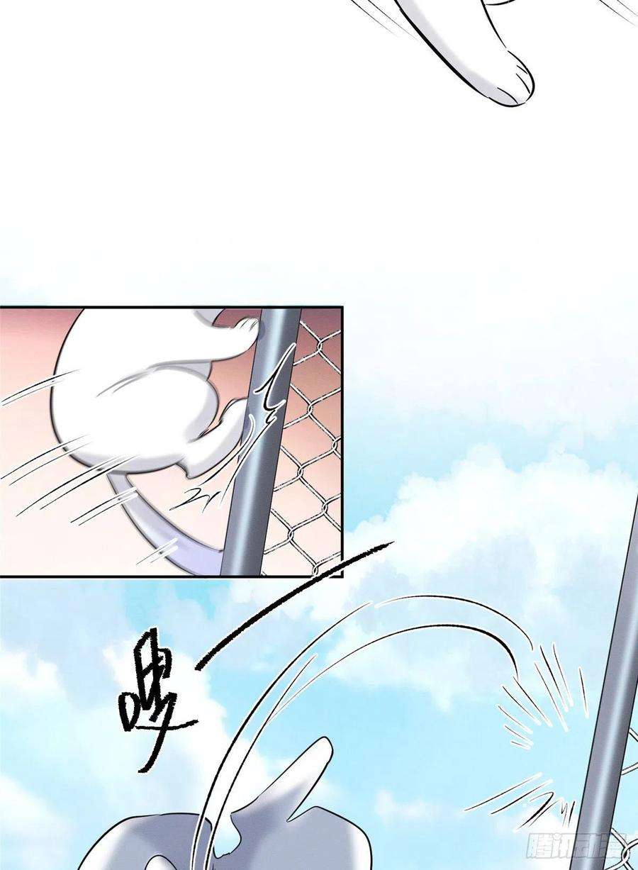 今天也要努力当只猫42话 喜欢的模样