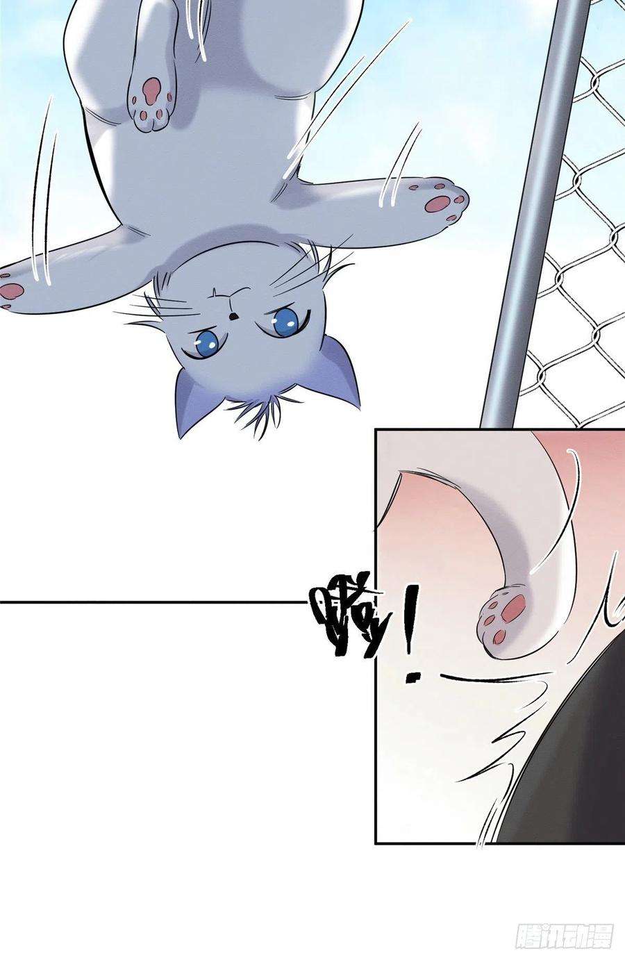 今天也要努力当只猫42话 喜欢的模样