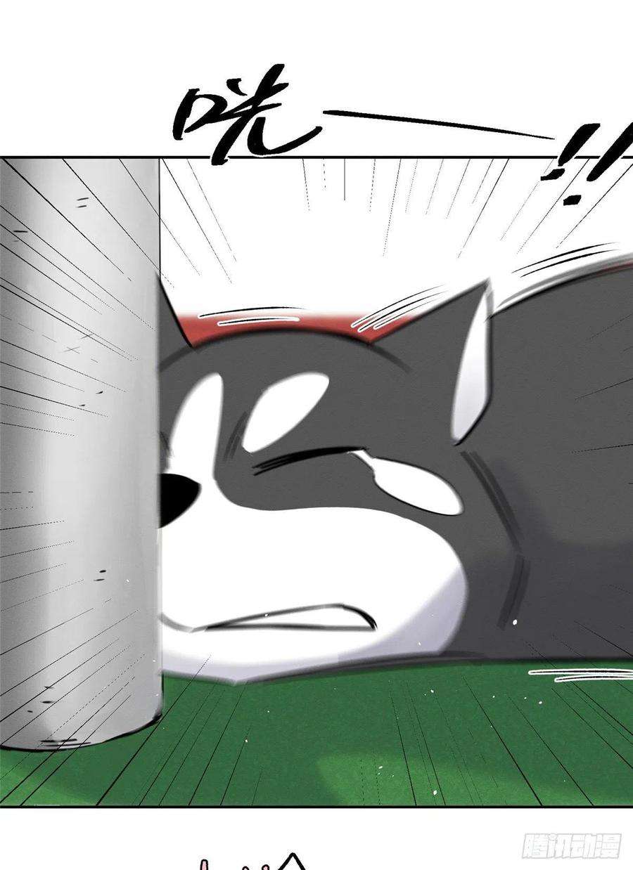 今天也要努力当只猫42话 喜欢的模样