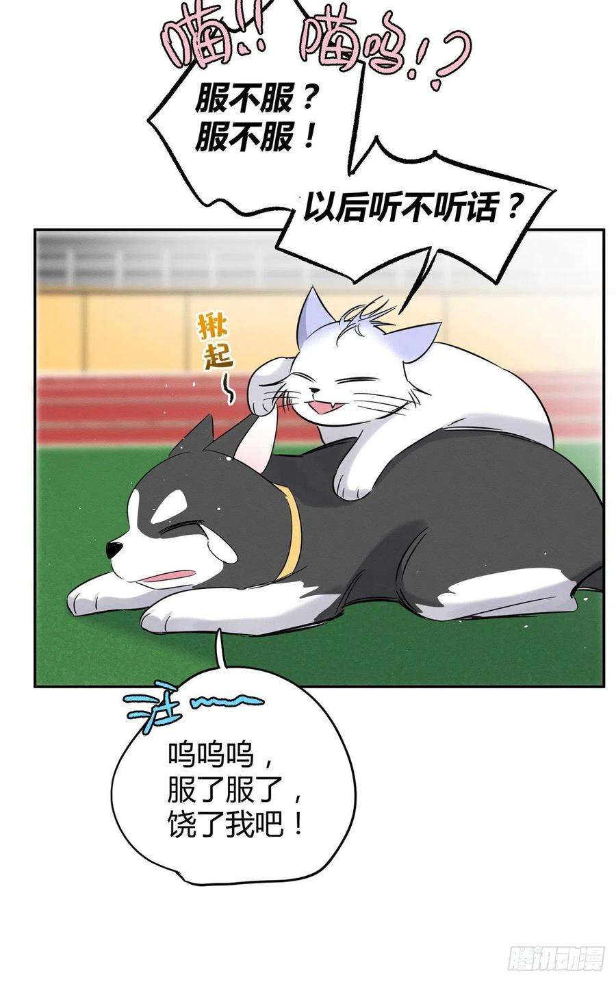 今天也要努力当只猫42话 喜欢的模样