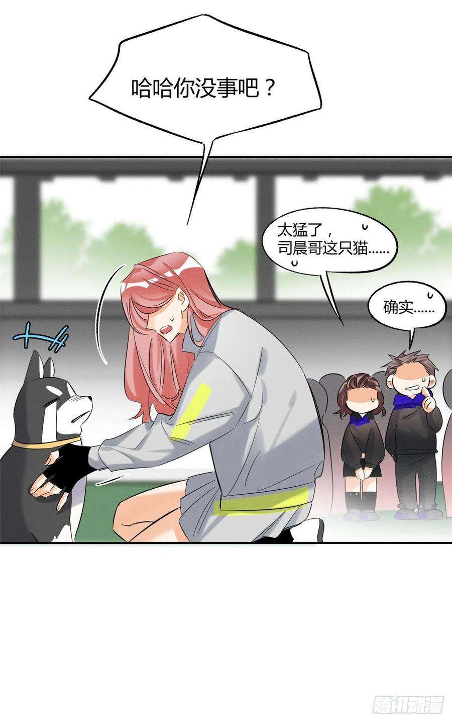 今天也要努力当只猫42话 喜欢的模样