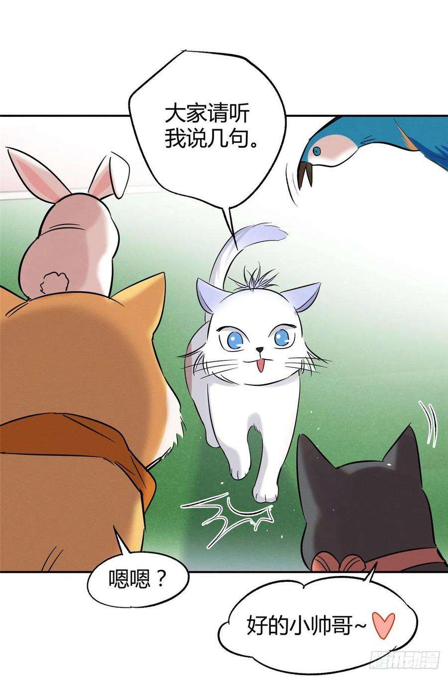 今天也要努力当只猫42话 喜欢的模样