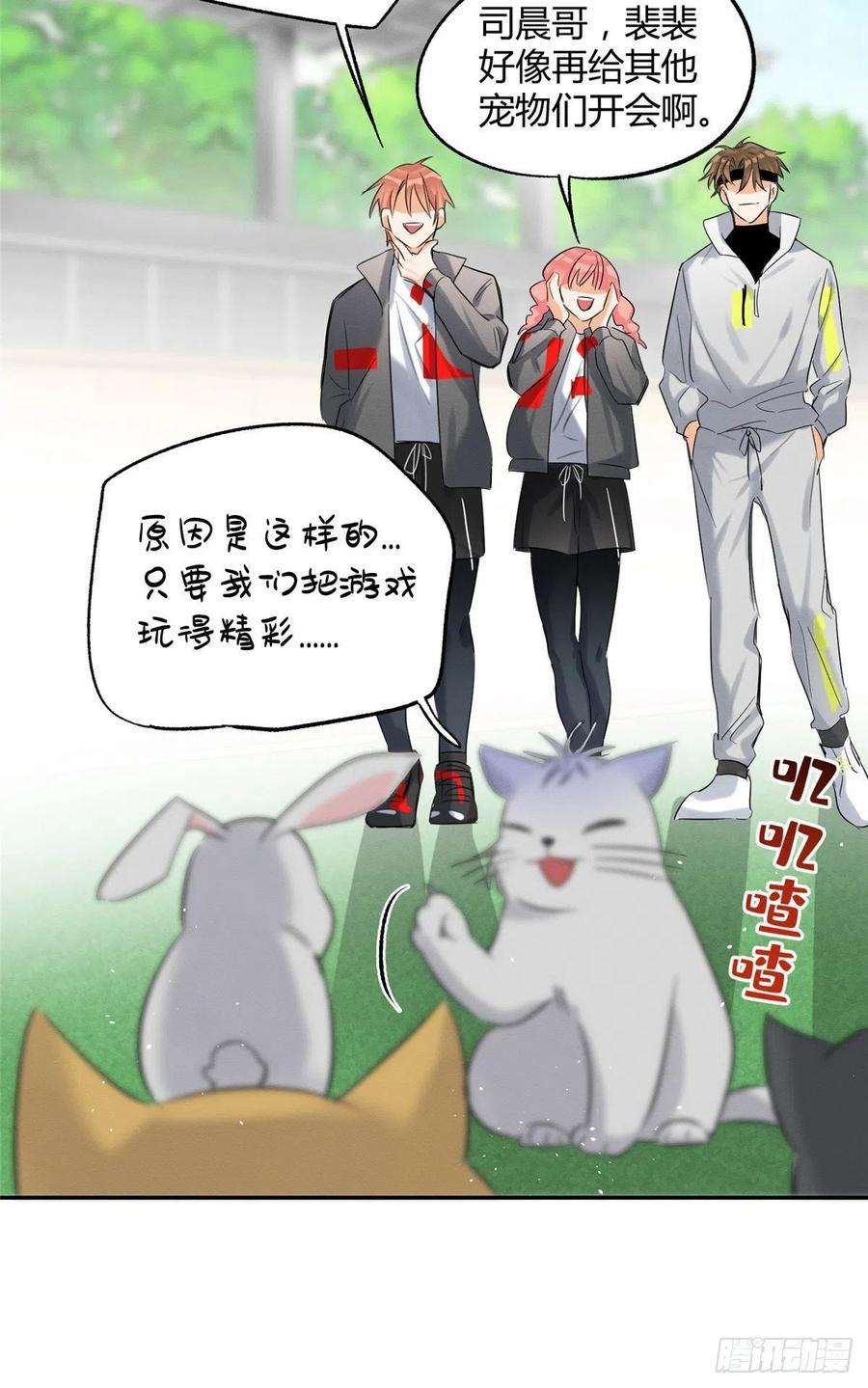 今天也要努力当只猫42话 喜欢的模样