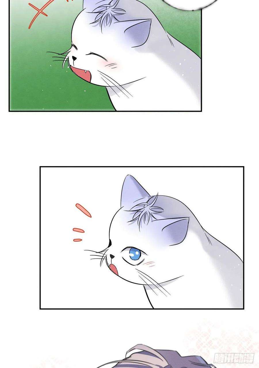 今天也要努力当只猫42话 喜欢的模样