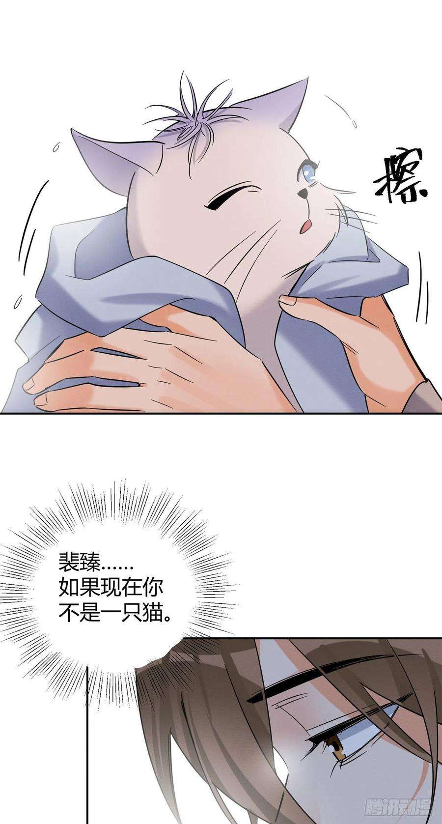 今天也要努力当只猫43话 他喜欢我吗