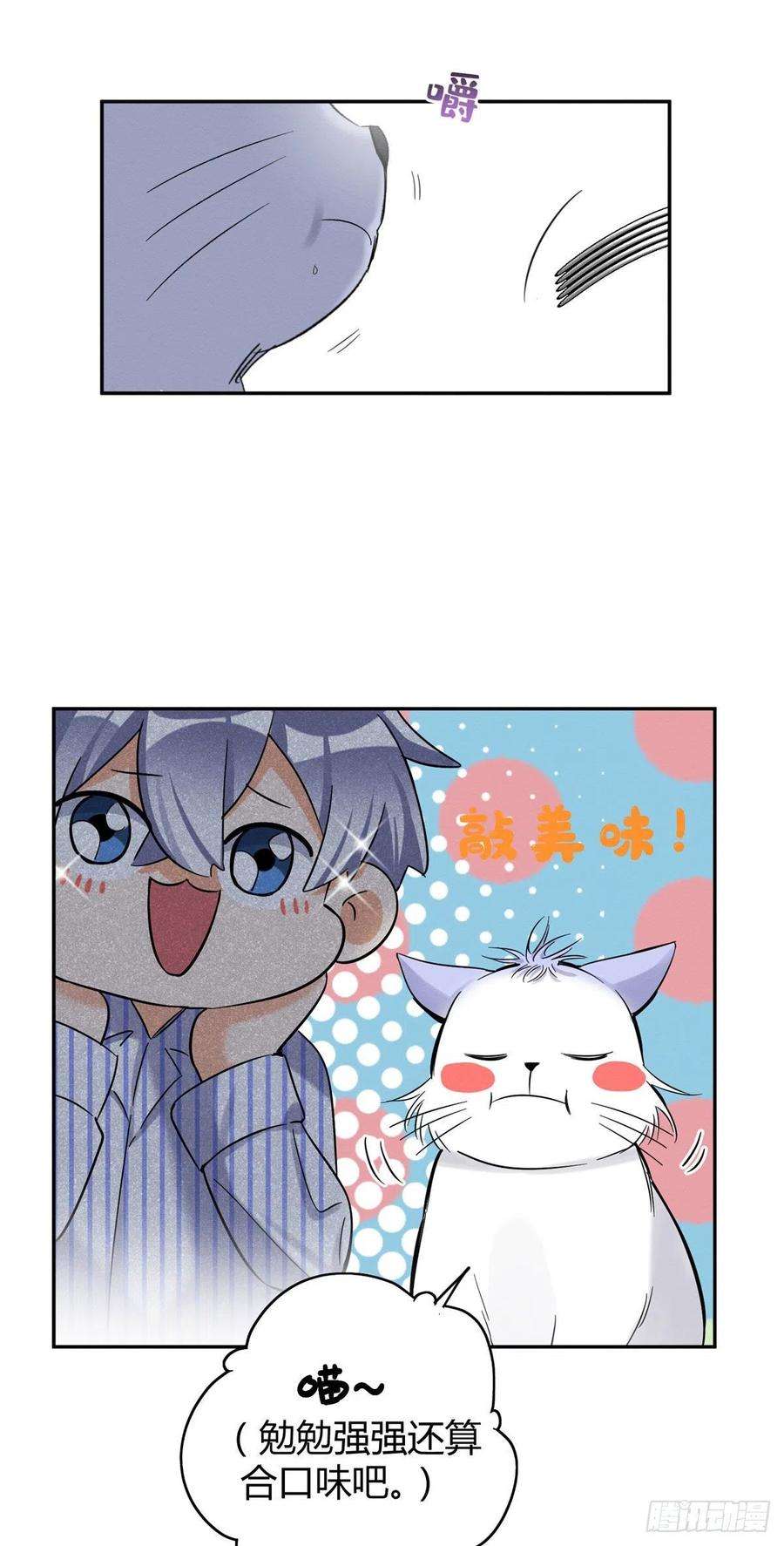 今天也要努力当只猫43话 他喜欢我吗