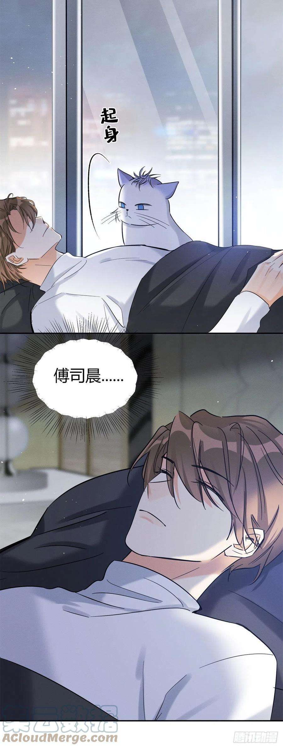 今天也要努力当只猫44话 喜欢的是谁呢