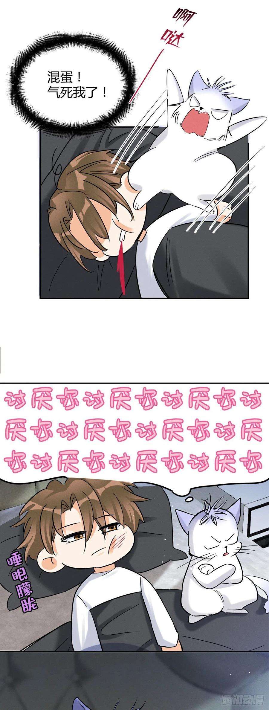 今天也要努力当只猫44话 喜欢的是谁呢