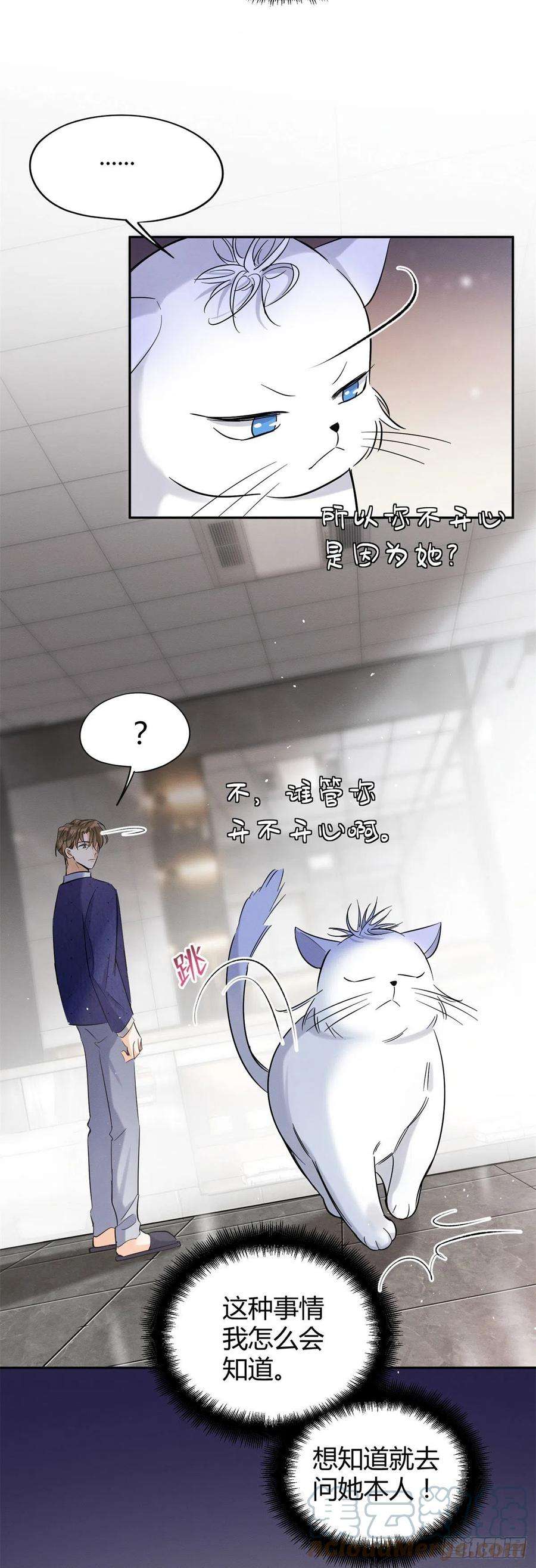 今天也要努力当只猫44话 喜欢的是谁呢