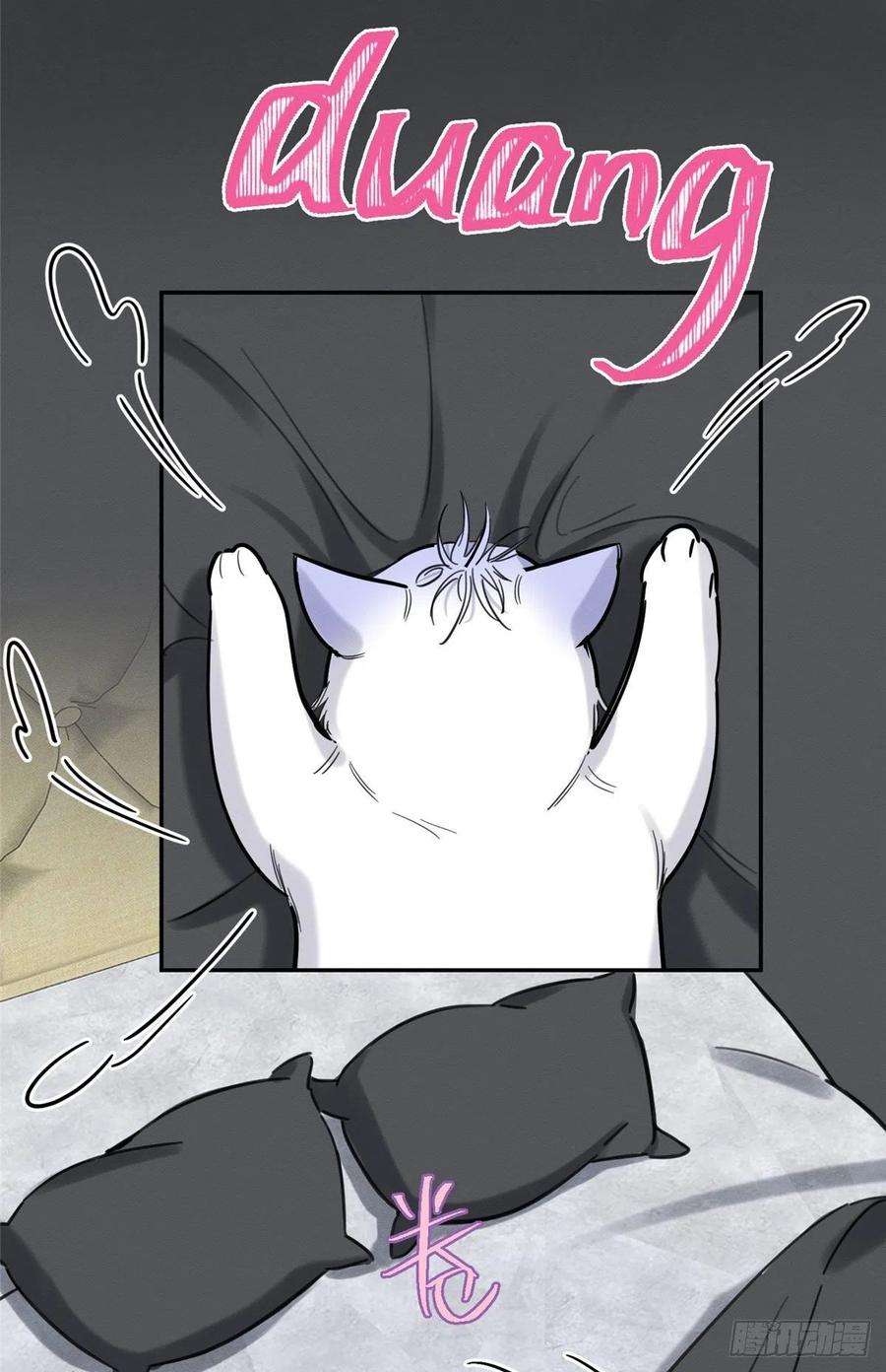 今天也要努力当只猫46话 他舔我！