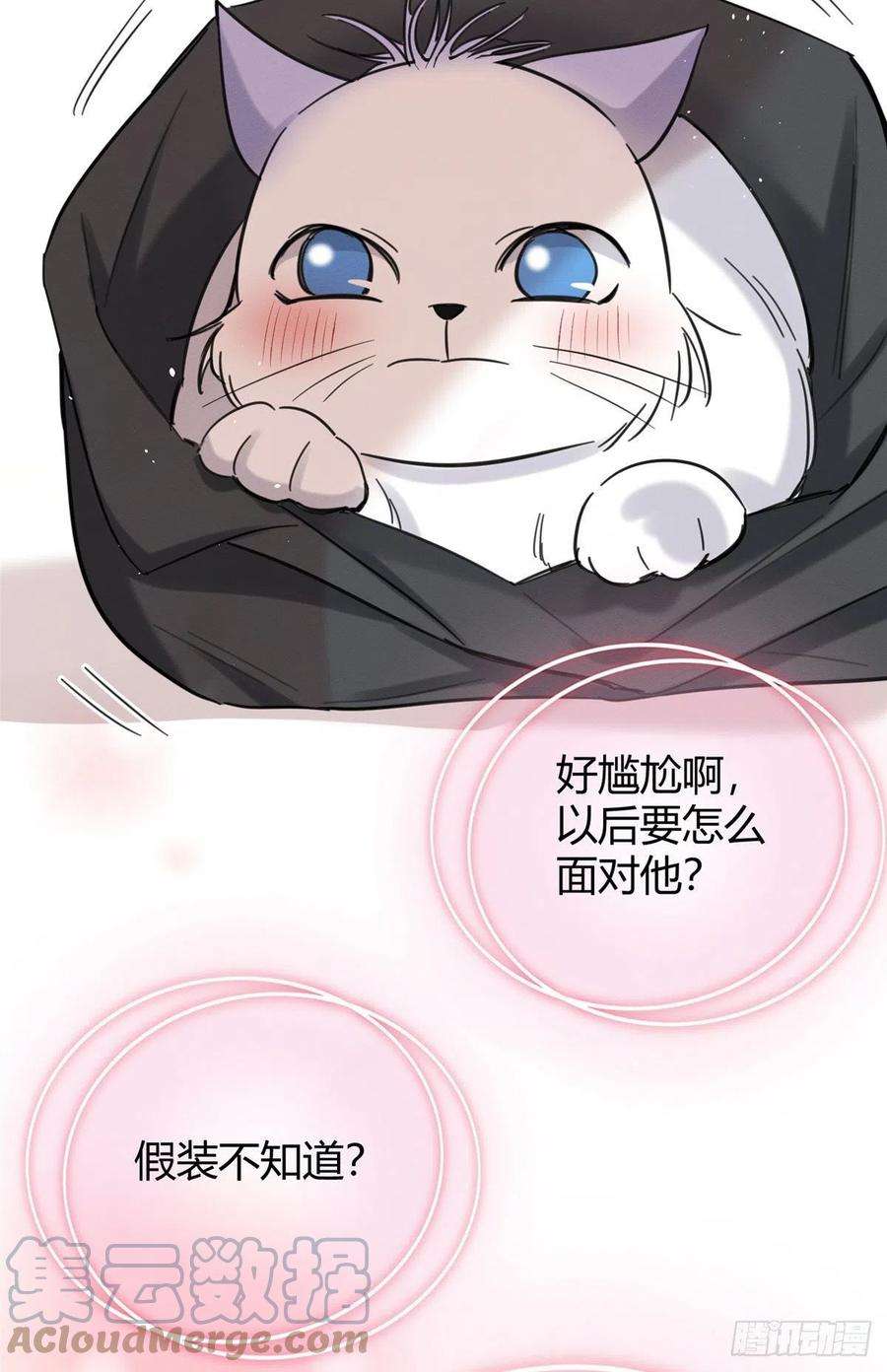 今天也要努力当只猫46话 他舔我！