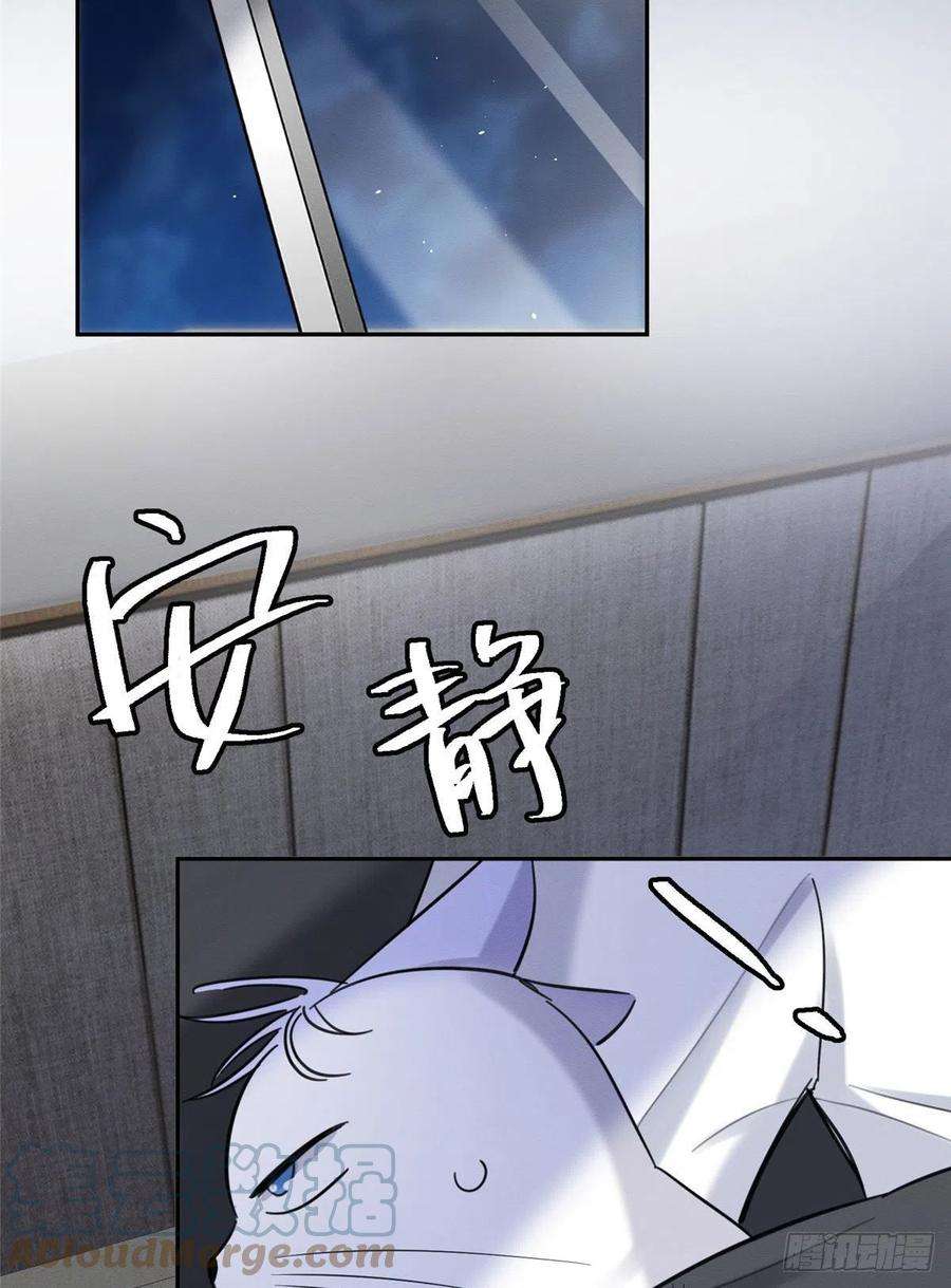 今天也要努力当只猫46话 他舔我！