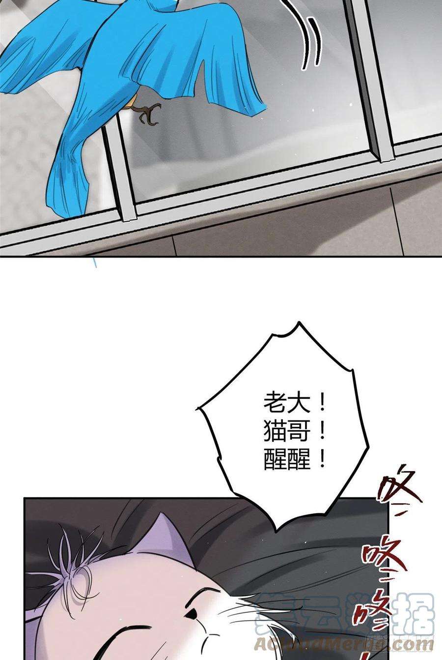 今天也要努力当只猫46话 他舔我！