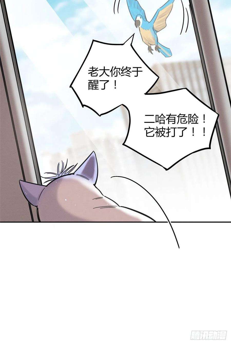 今天也要努力当只猫46话 他舔我！