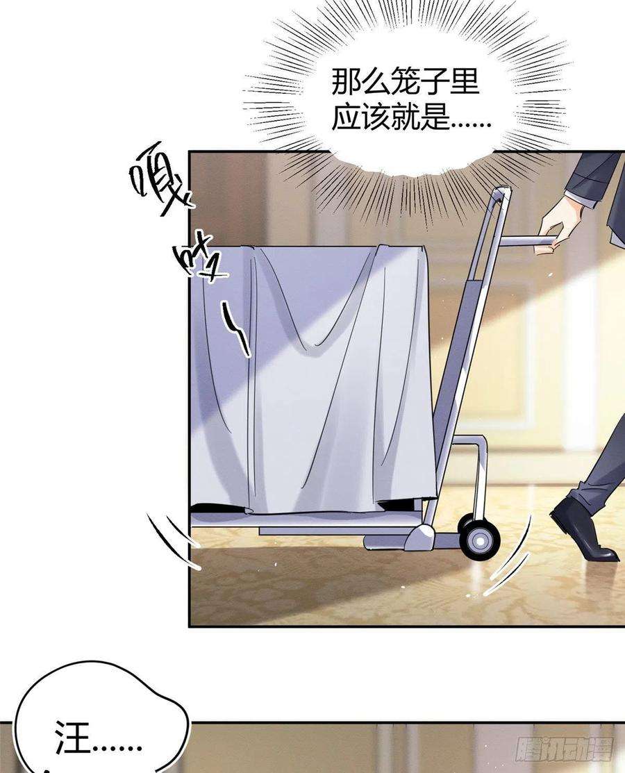 今天也要努力当只猫47坏女人！