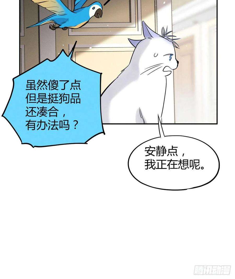 今天也要努力当只猫47坏女人！