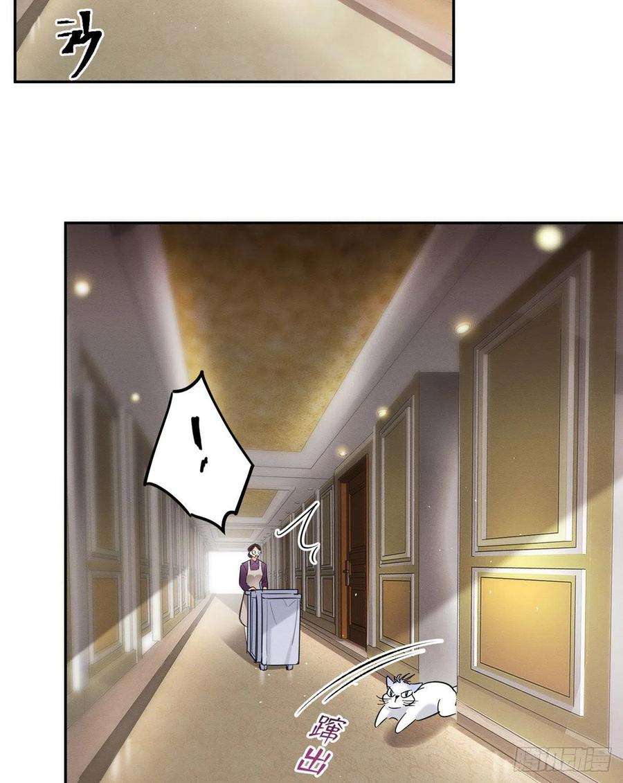 今天也要努力当只猫47坏女人！