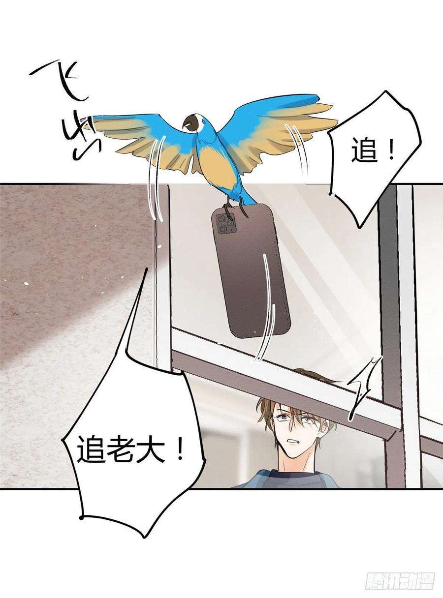 今天也要努力当只猫47坏女人！