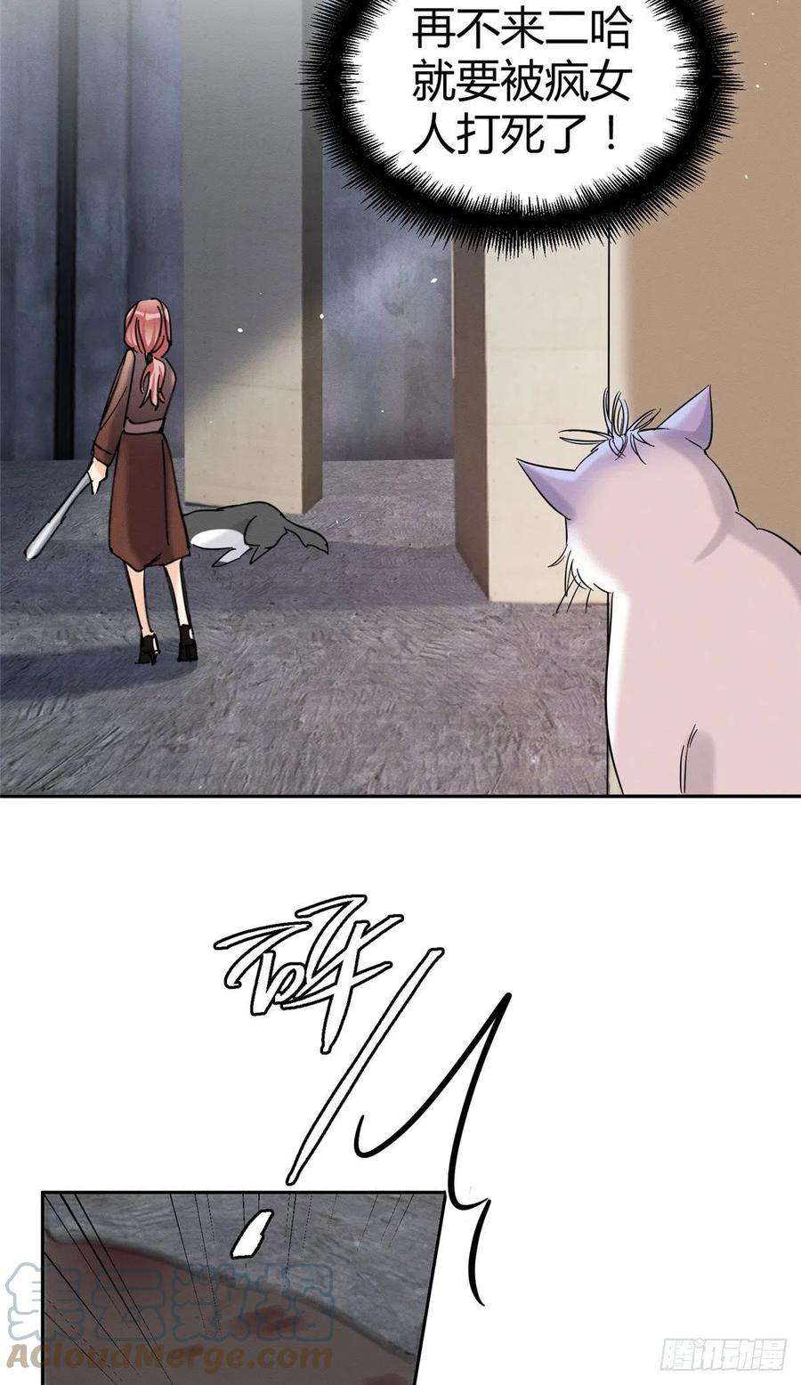 今天也要努力当只猫47坏女人！