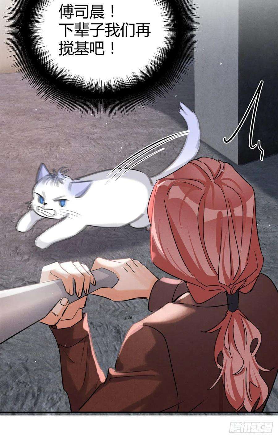 今天也要努力当只猫47坏女人！