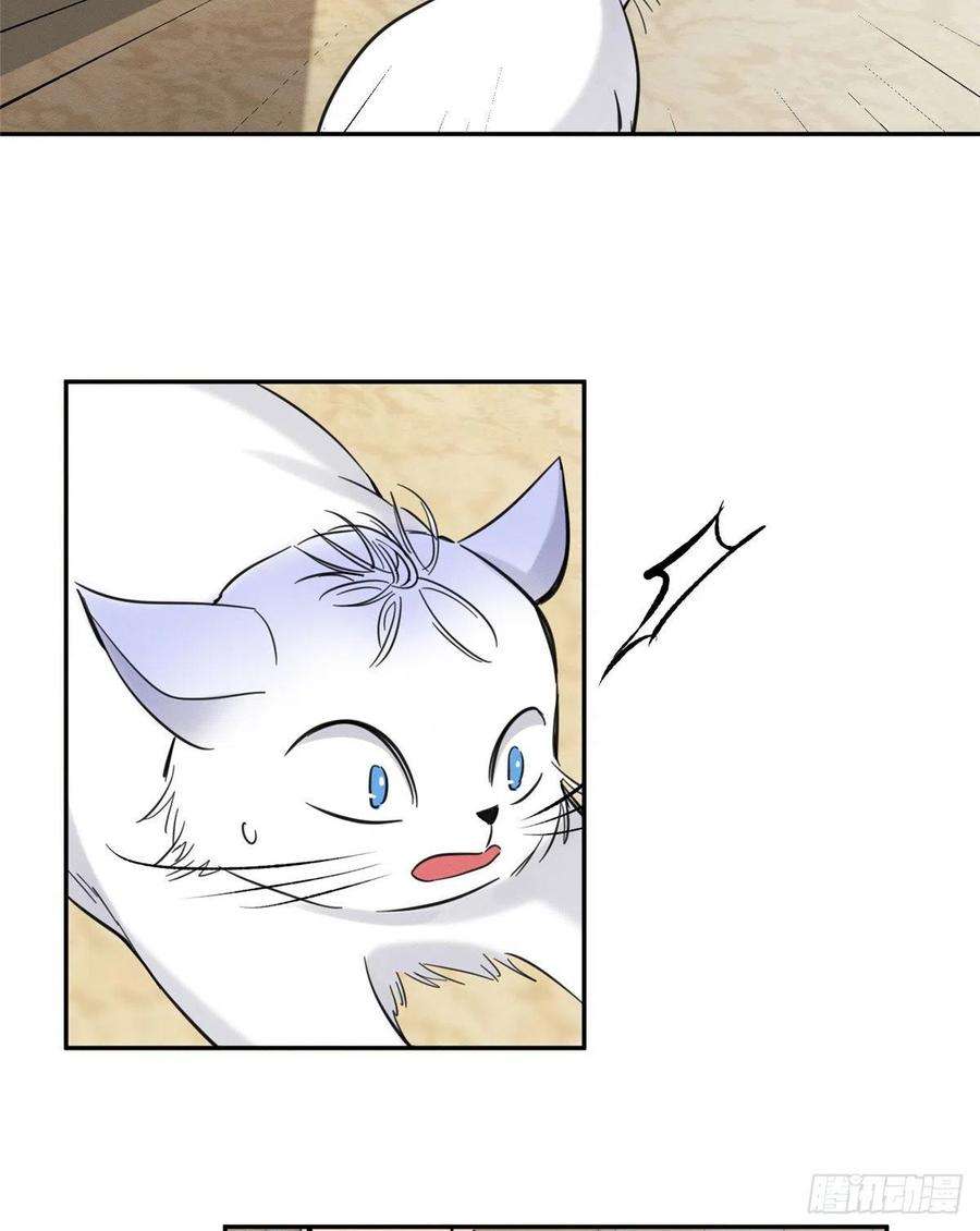 今天也要努力当只猫47坏女人！